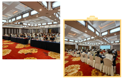 1724040497617852.png 1724040491133.png